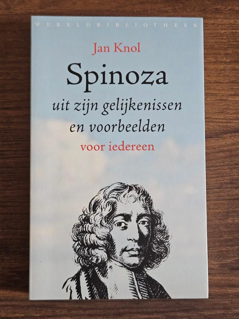 Jan Knol - Spinoza, Ophalen of Verzenden, Zo goed als nieuw, Jan Knol