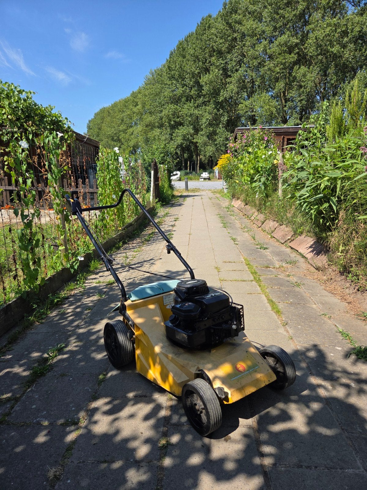 Briggs & Stratton Grasmaaier - Sport 375, Ophalen, Cirkelmaaier, Gebruikt, Versnellingen