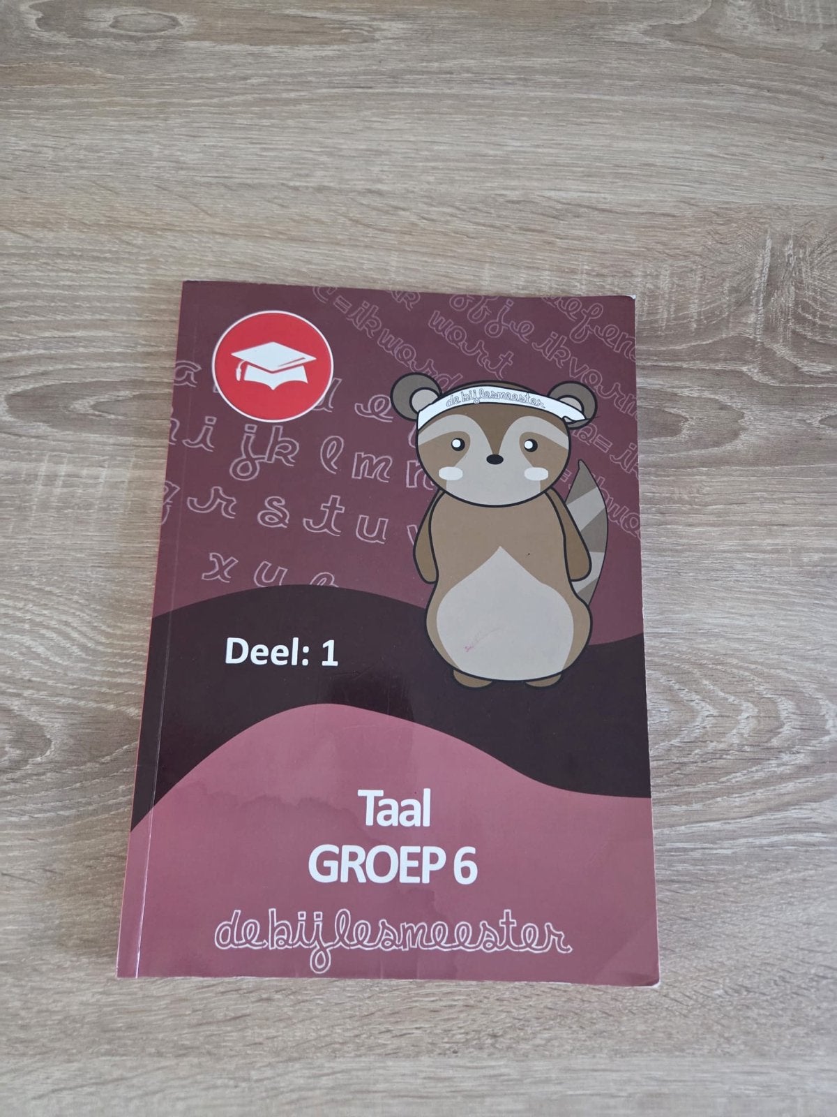 Bijlesmeester Taal Groep 6 Deel 1, Ophalen of Verzenden, Zo goed als nieuw, Overige niveaus, Nederlands