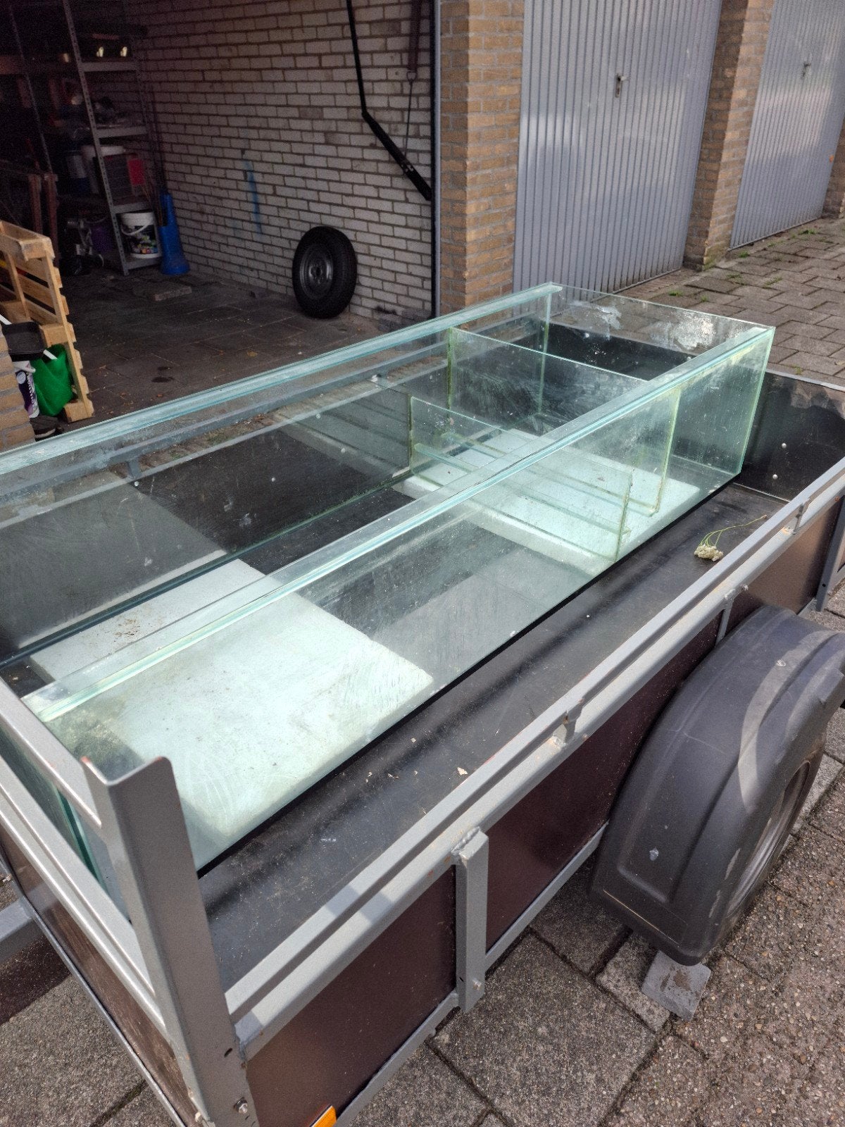 grote sump, Dieren en Toebehoren, Ophalen, Filter