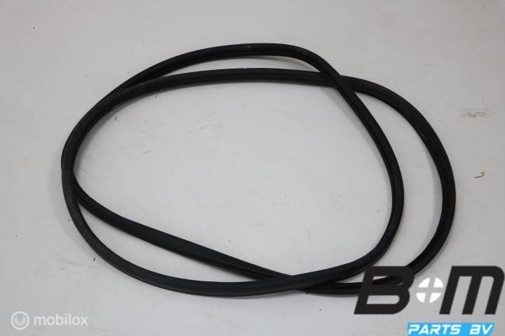 Potierrubber buiten Audi A6 4F 4F0839911, Gebruikt