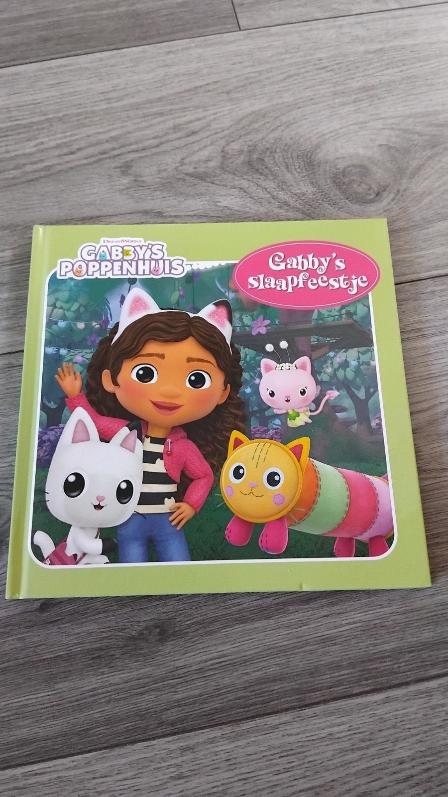 Gabby's poppenhuis slaapfeestje, Boeken, Ophalen, Zo goed als nieuw
