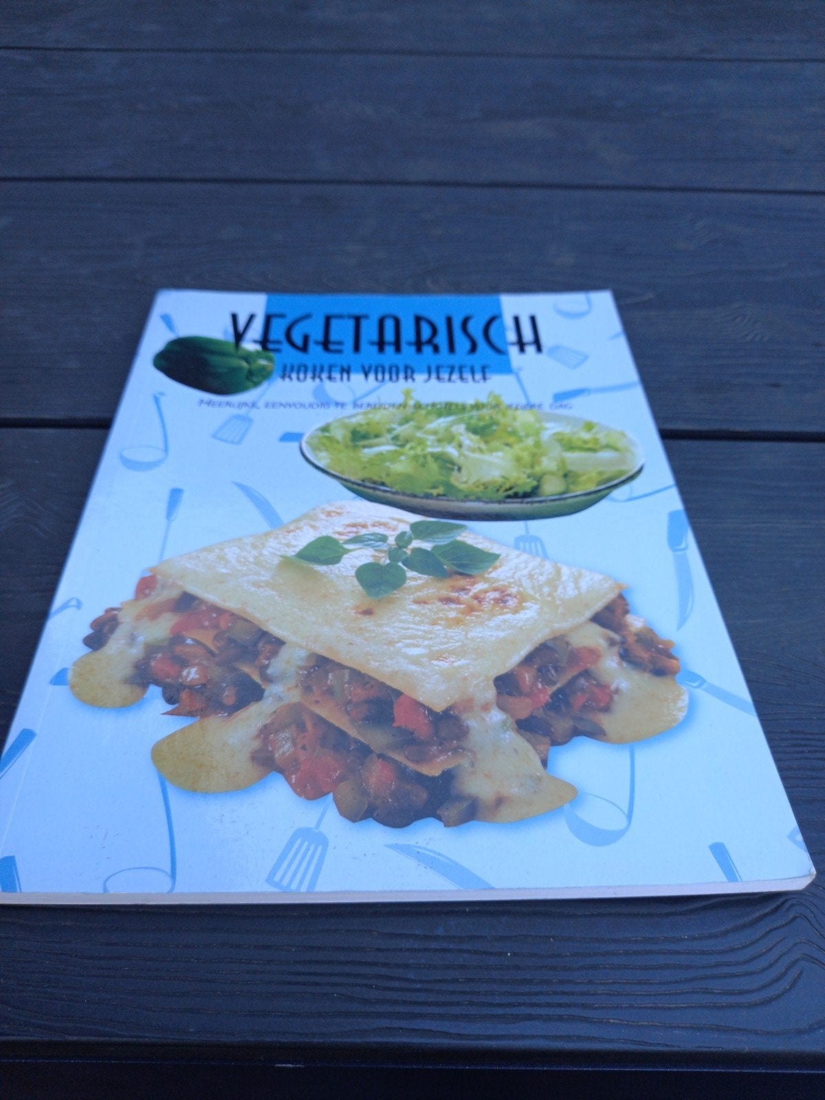 Vegetarisch koken voor jezelf, Vegetarisch, Rebo Productions, Ophalen of Verzenden, Zo goed als nieuw