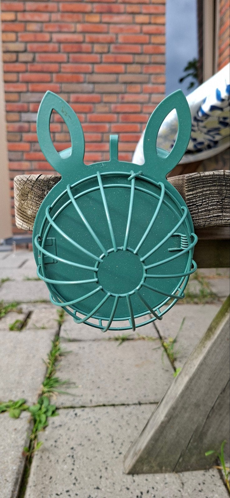 Groene hooiruif voor kleine knaagdieren, Ophalen of Verzenden, Zo goed als nieuw
