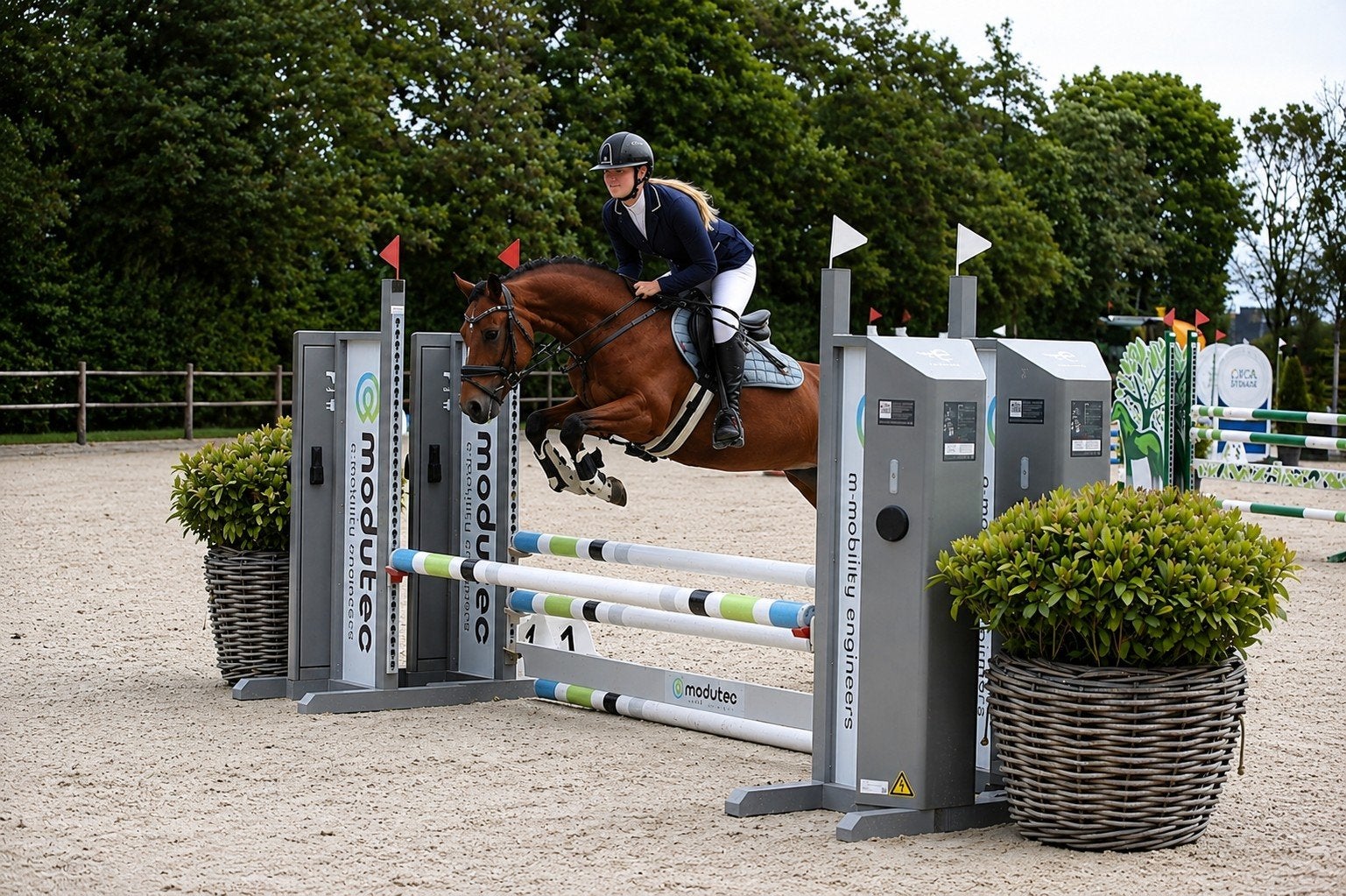Ontzettende talentvolle en werkwillige D pony, Merrie, Met stamboom, Dressuurpaard, L