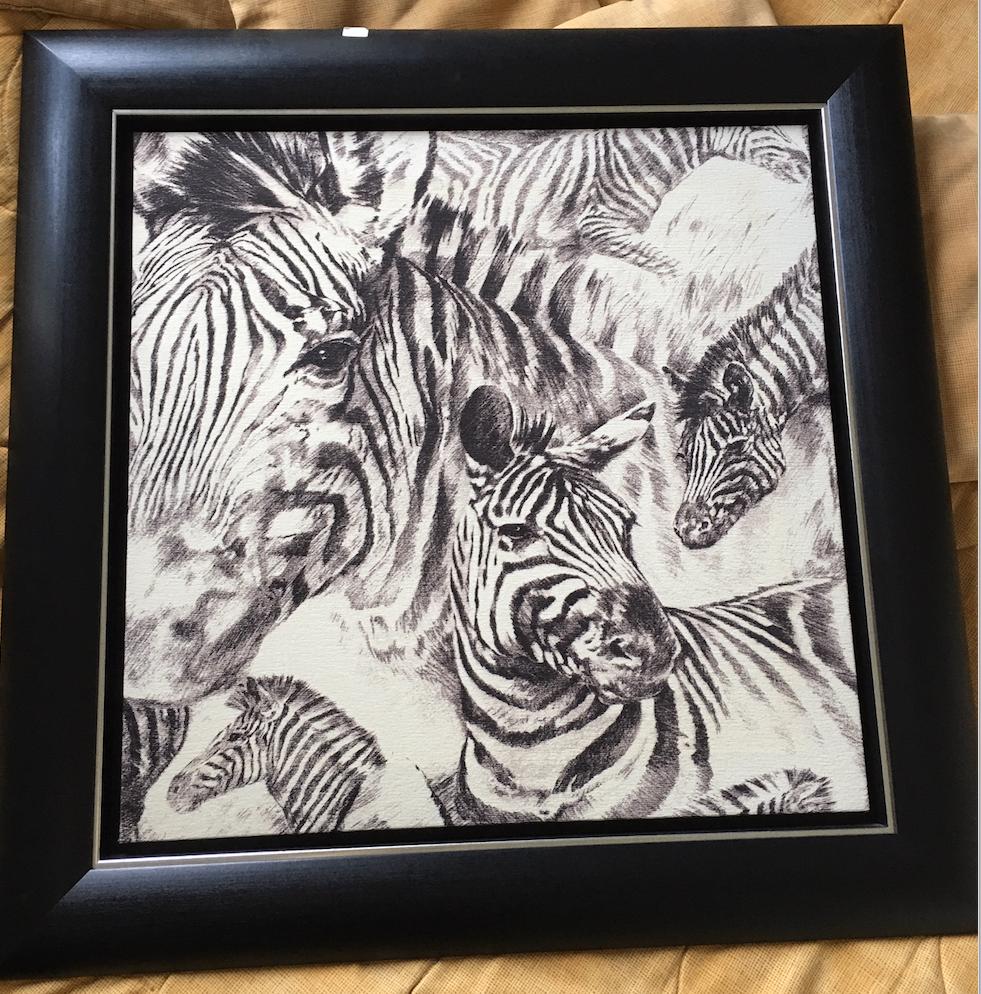 ZEBRA............in zwarte lijst, Ophalen