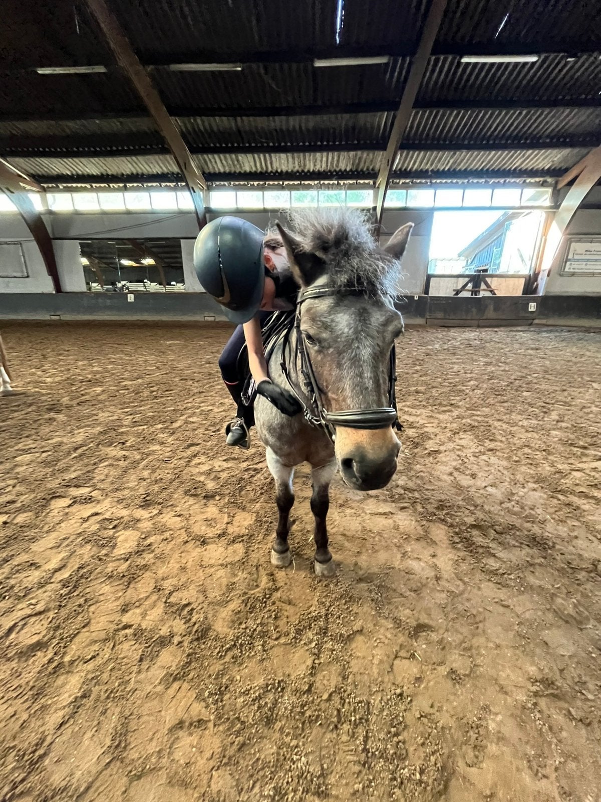 Verzorgster aangeboden/verzorgpony gezocht!, Dieren en Toebehoren, Ophalen, Zo goed als nieuw