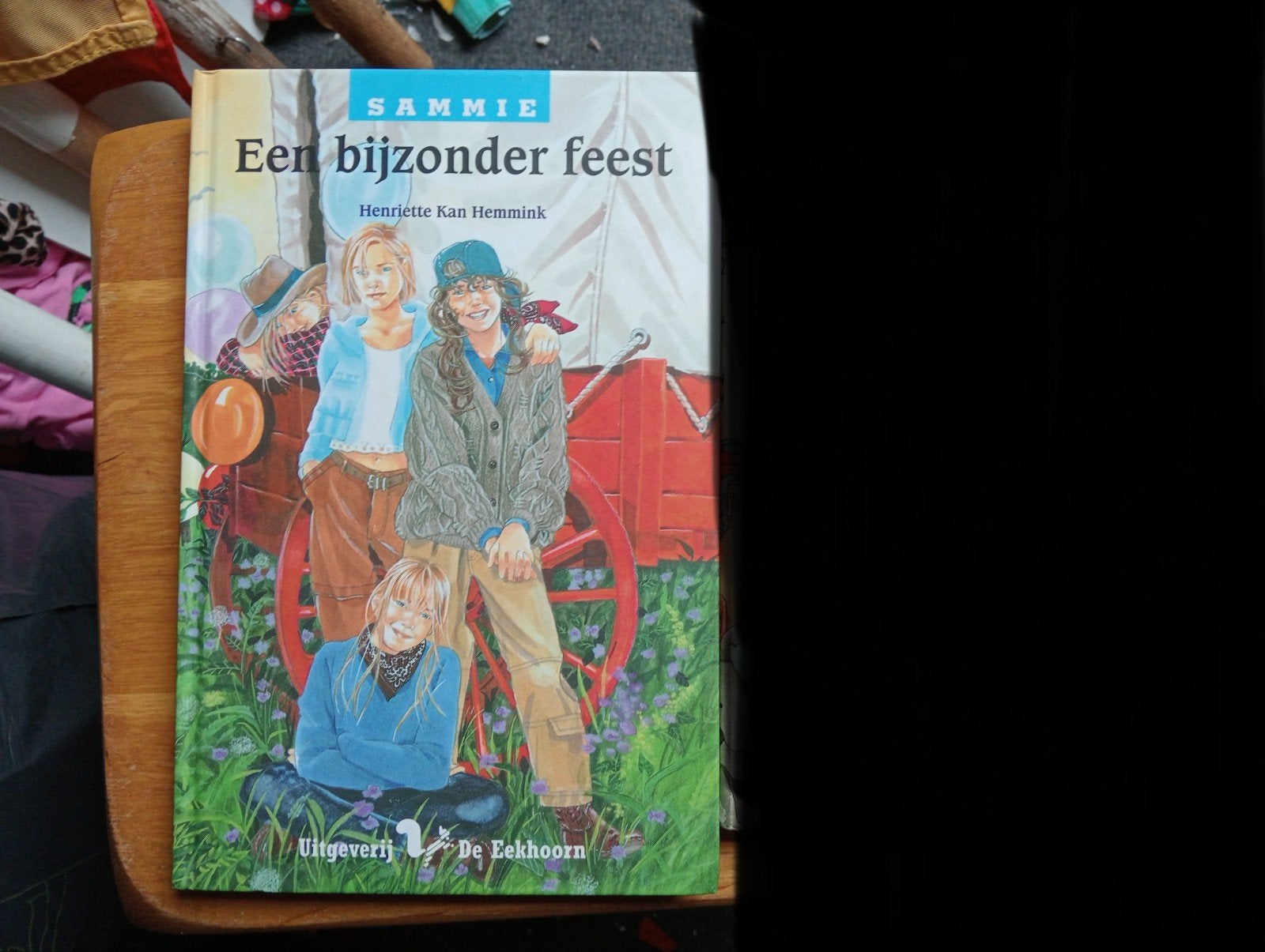Sammie: Een bijzonder feest - Henriëtte Kan Hemmink, Ophalen of Verzenden, Zo goed als nieuw, Henriëtte Kan Hemmink, Fictie algemeen