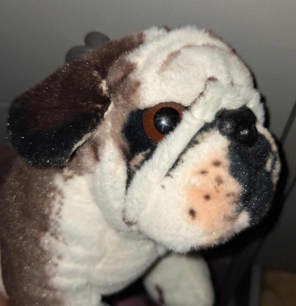Schattige Bulldog Knuffel, Ophalen of Verzenden, Nieuw, Hond