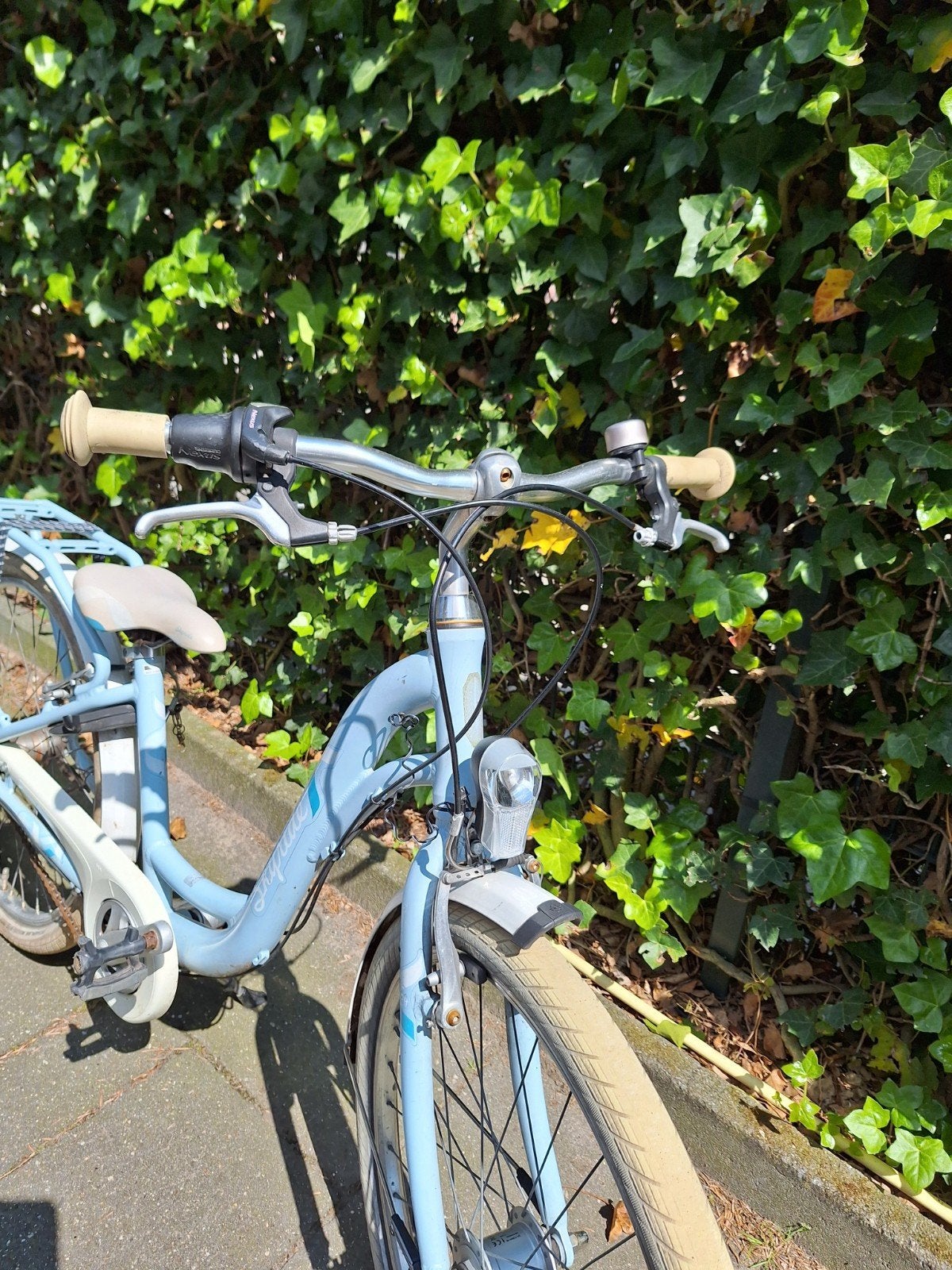 meisjesfiets, Minder dan 47 cm, Ophalen, Gebruikt, Versnellingen