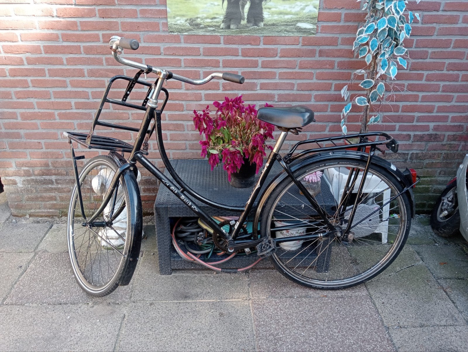 omafiets, 56 cm of meer, Ophalen, Gebruikt