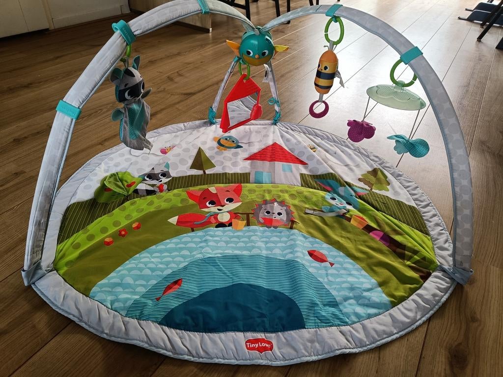 Tiny Love Speelkleed/Babygym, Kinderen en Baby's, Speelgoed | Babyspeelgoed, Ophalen, Zo goed als nieuw, Speelkleed