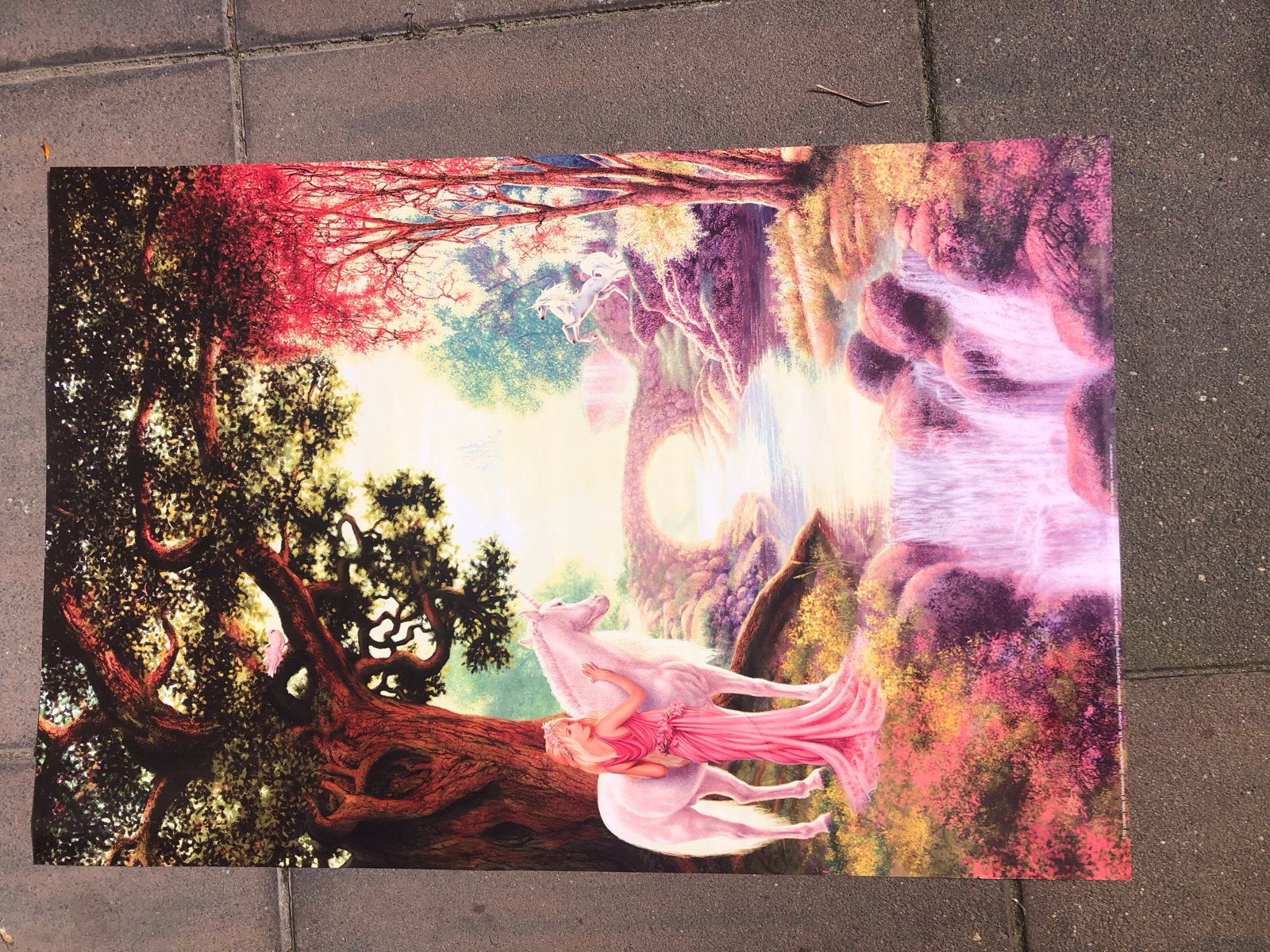 Fantasy Poster: Eenhoorn en Vrouw bij Waterval, Huis en Inrichting, 50 – 75, Gebruikt, Ophalen of Verzenden, Foto of Poster