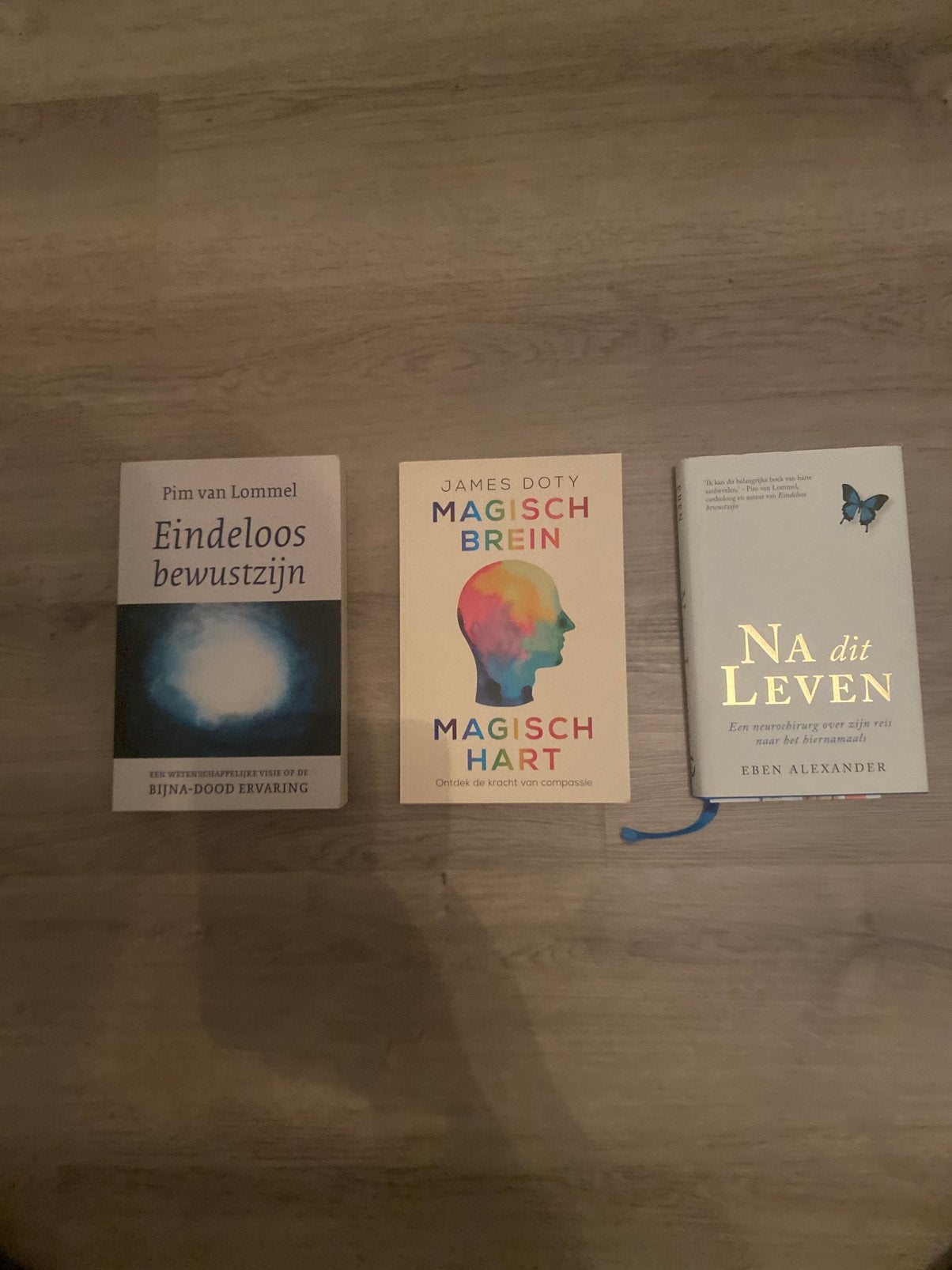Eindeloos bewustzijn, MagischbreinMagischhart, Na dit leven, Boeken, Esoterie en Spiritualiteit, Ophalen of Verzenden, Zo goed als nieuw