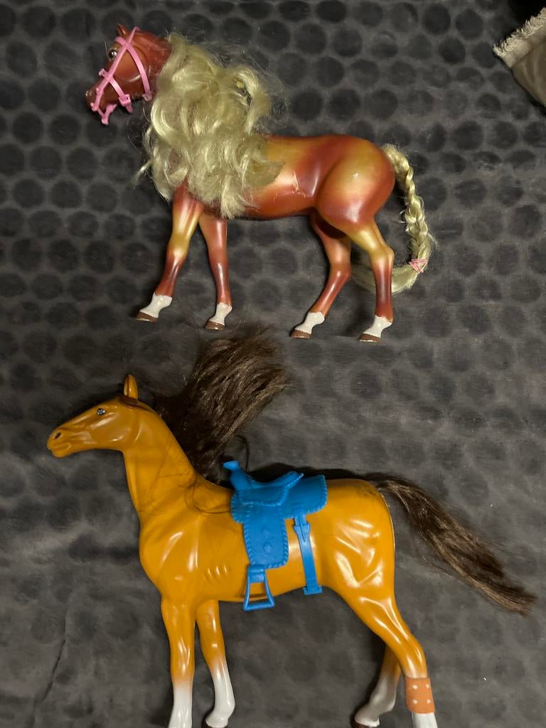 Barbi pasrd, Ophalen of Verzenden, Barbie