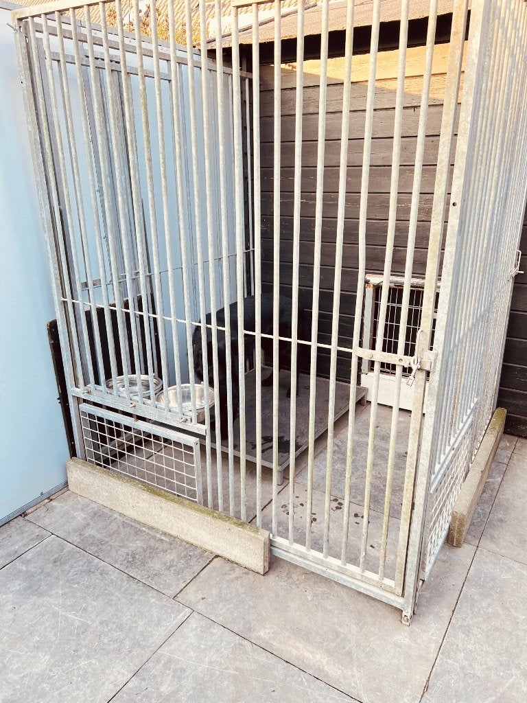 te koop 3 kennel panelen met deur, Ophalen, Hondenkennel, 100 cm of meer, 110 cm of meer