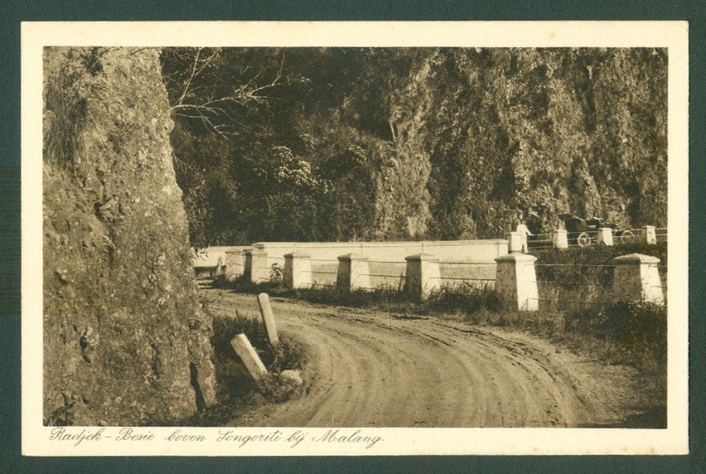 AK Nederlands Indie Splendid Radjek-Besie boven Songoriti, Ophalen of Verzenden, Voor 1920, Ongelopen