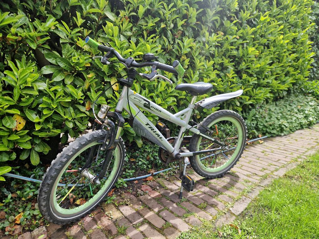 Alpina Trial 20 inch, Fietsen en Brommers, Fietsen | Jongens, Ophalen, Gebruikt, Velgrem, Alpina