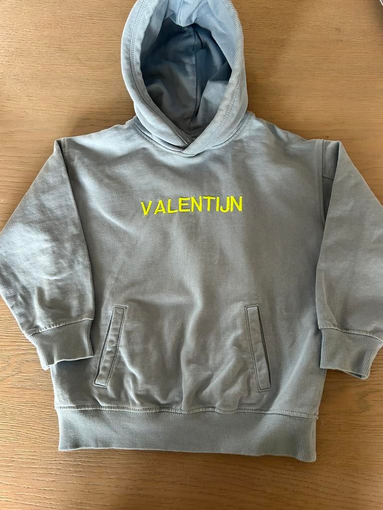 Trui maat 116 Zara, Ophalen of Verzenden, Zo goed als nieuw, Meisje, Trui of Vest