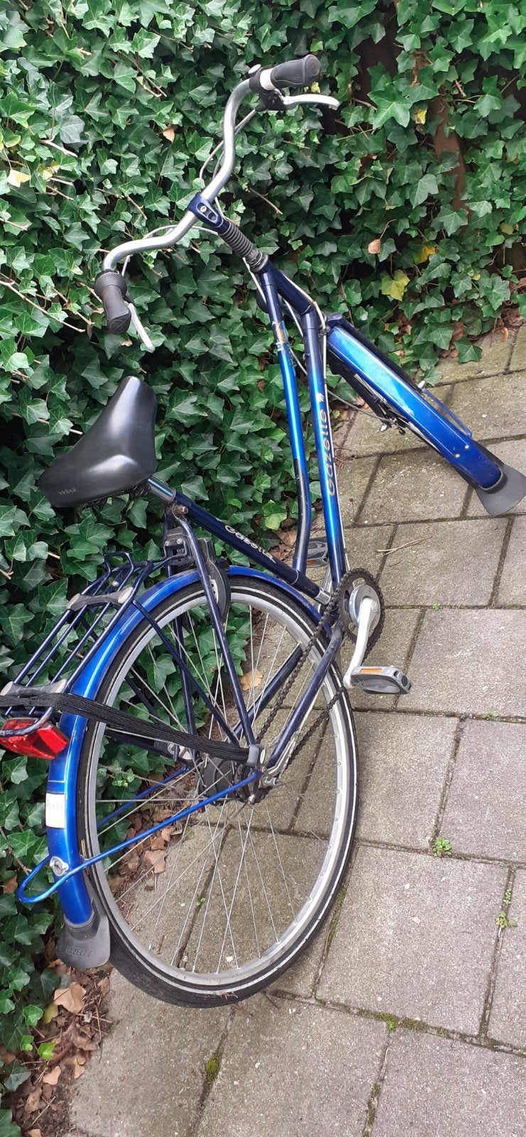 Gazelle Free framemaat 51 damesfiets, Fietsen en Brommers, Fietsen | Dames | Damesfietsen, 50 tot 53 cm, Ophalen of Verzenden