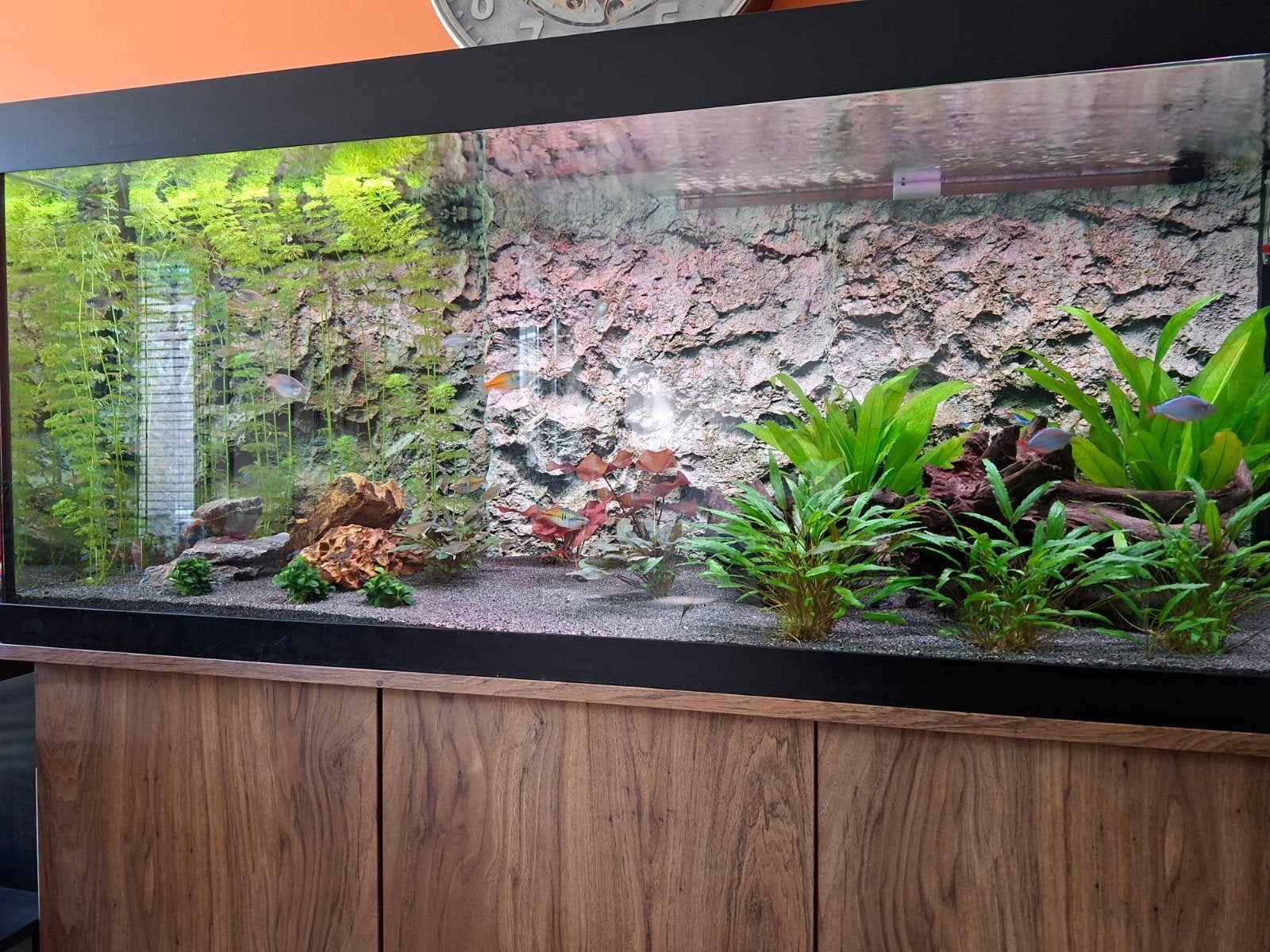 interesse peiling aquarium en meubel zonder toebehoren, Ophalen of Verzenden