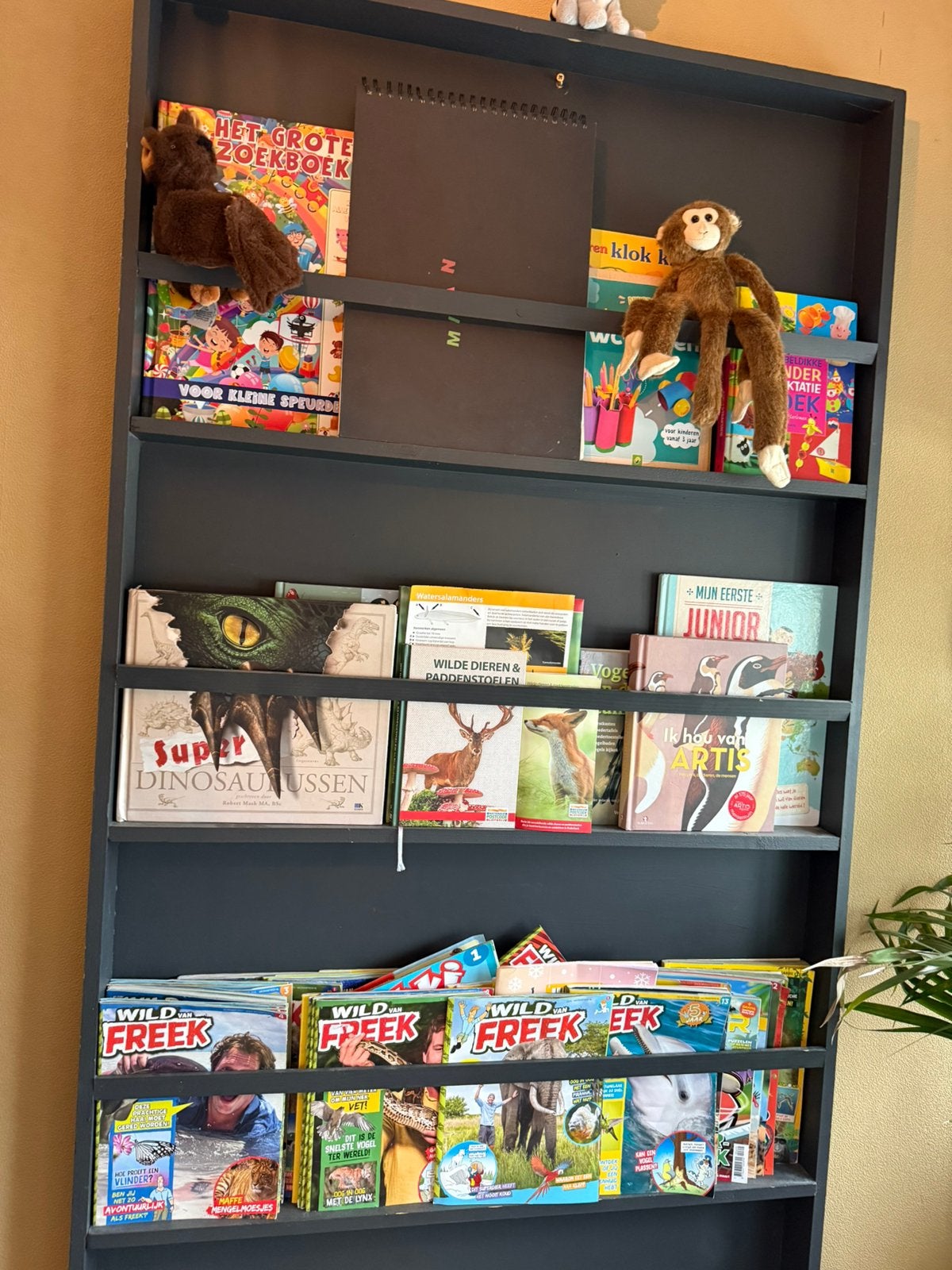 Boekenrek, Ophalen, Gebruikt, 50 tot 100 cm, Minder dan 100 cm