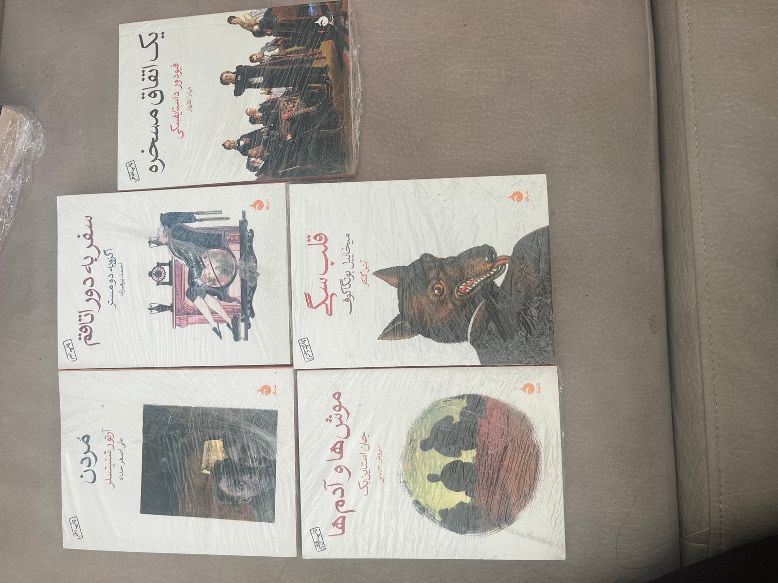 Set van 5 Perzische boeken, nieuw in folie, Boeken, Ophalen of Verzenden, Nieuw, Wereld overig