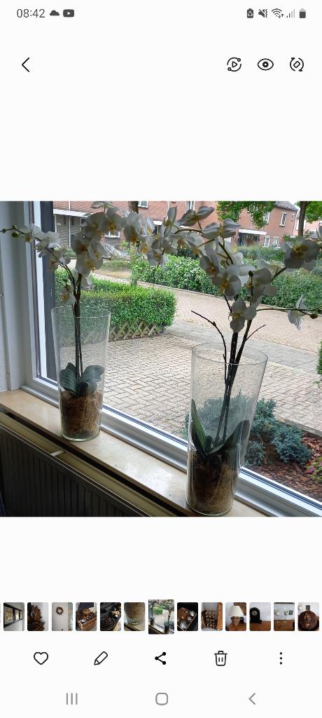 Gratis ophalen 3 grote glazen vazen, Huis en Inrichting, Ophalen, Overige kleuren, Minder dan 50 cm, Glas