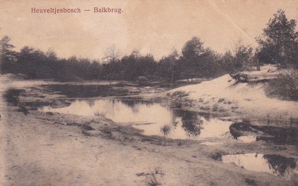 19186 Heuveltjesbosch Balkbrug 1920 Dedemsvaart Nieuwleusen, Verzenden, Voor 1920, Gelopen, Overijssel