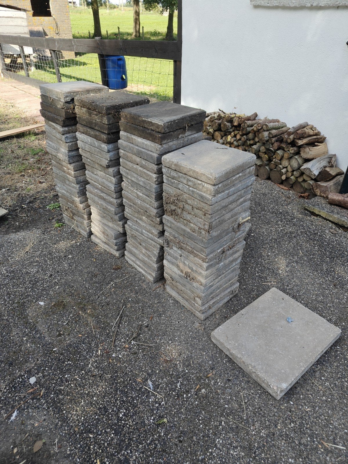 Gratis af te halen: Terrastegels diverse maten, Ophalen, Gebruikt, 10 m² of meer, Beton