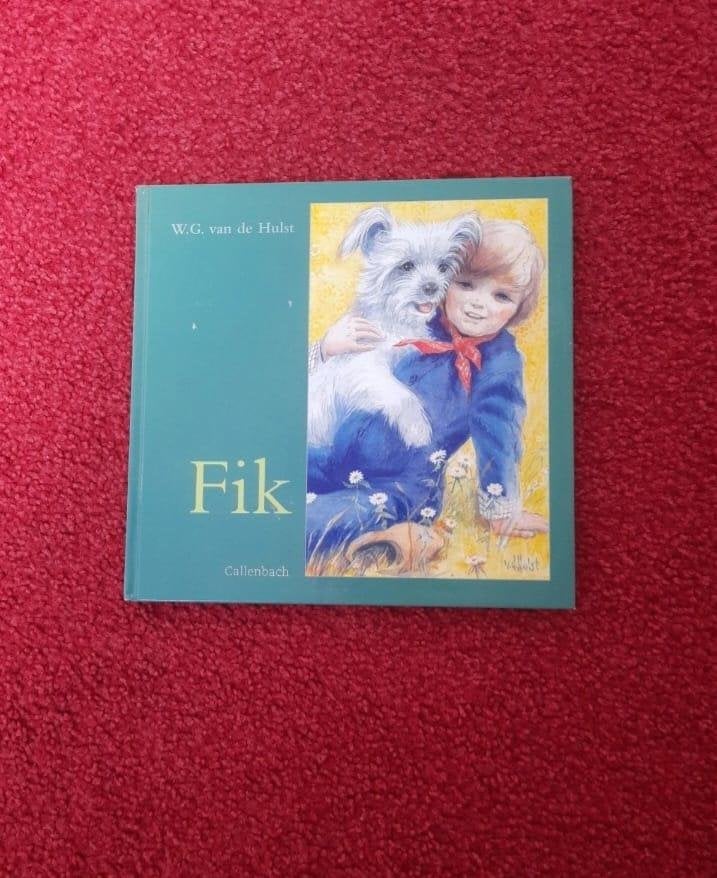 Boek Fik, Ophalen of Verzenden, Gelezen, W.G. van de Hulst., Fictie algemeen