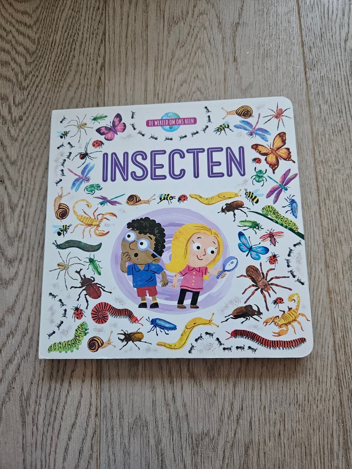 Insecten: Ontdek de wereld van kleine beestjes, Boeken, Ophalen of Verzenden, Zo goed als nieuw, Non-fictie