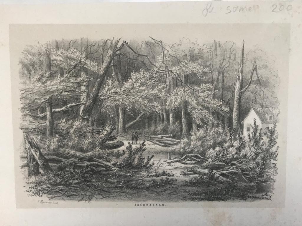 Jacobalaan Den Haag. Antieke gravure. E. Spanier Lith. Mooi, Origineel, 1800 - 1899, Stadsgezicht, 19 cm