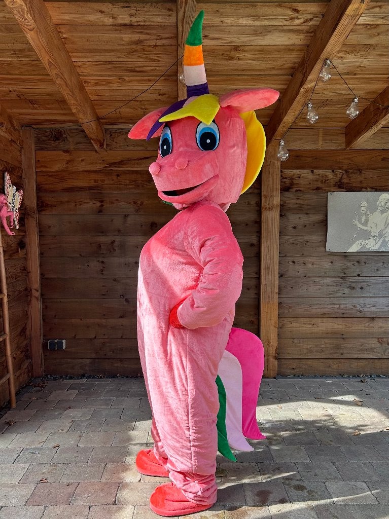 Unicorn of Dino / Draakje kostuum huren? Slecht 30 euro pst, Ophalen of Verzenden, Zo goed als nieuw, Abraham of Sarah