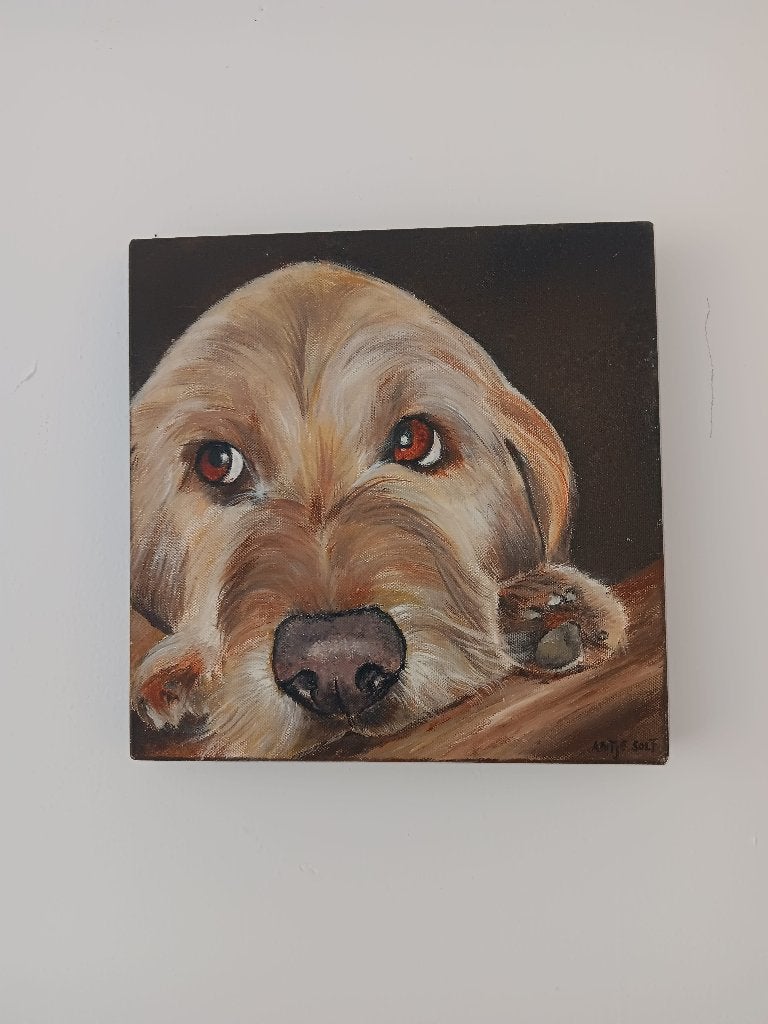 Hond met trouwe blik” – Antje Solf - 30 x 30 cm, Huis en Inrichting, Ophalen, Minder dan 50 cm, Gebruikt, Schilderij