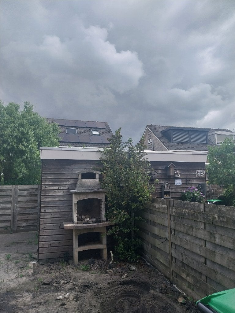 Boom/ struik gratis, Tuin en Terras, Planten | Bomen, Ophalen, Lente, Volle zon, Overige soorten