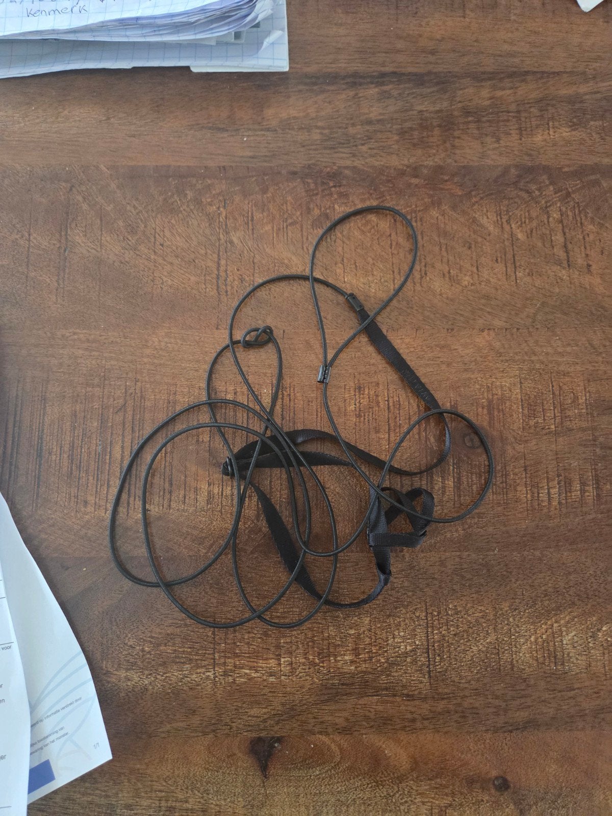 Te koop jonge zwartkop papegaai pop, Vrouwelijk, Papegaai, Tam