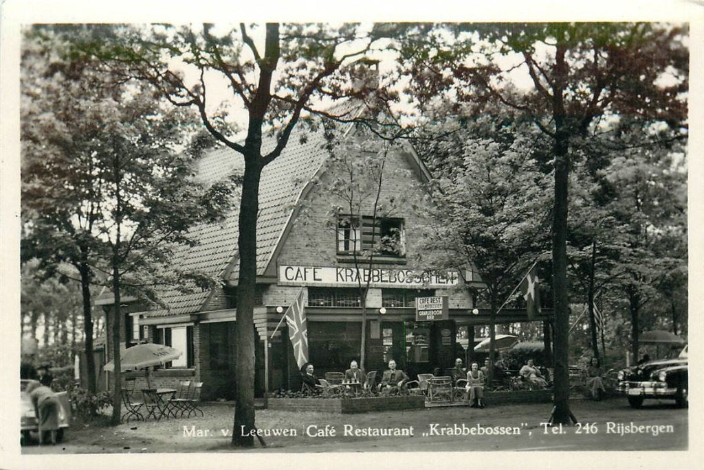 701-179-049 Rijsbergen Krabbebossen, Verzamelen, Verzenden, Voor 1920, Noord-Brabant