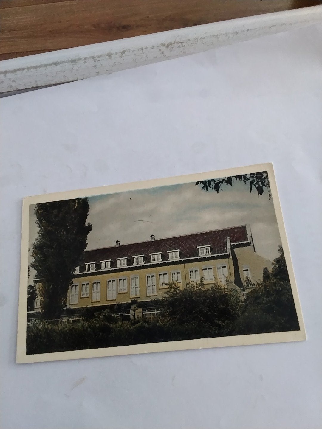 Oude Ansichtkaart Huize Padua Boekel (N.B.), Ophalen of Verzenden, Voor 1920, Gelopen, Noord-Brabant