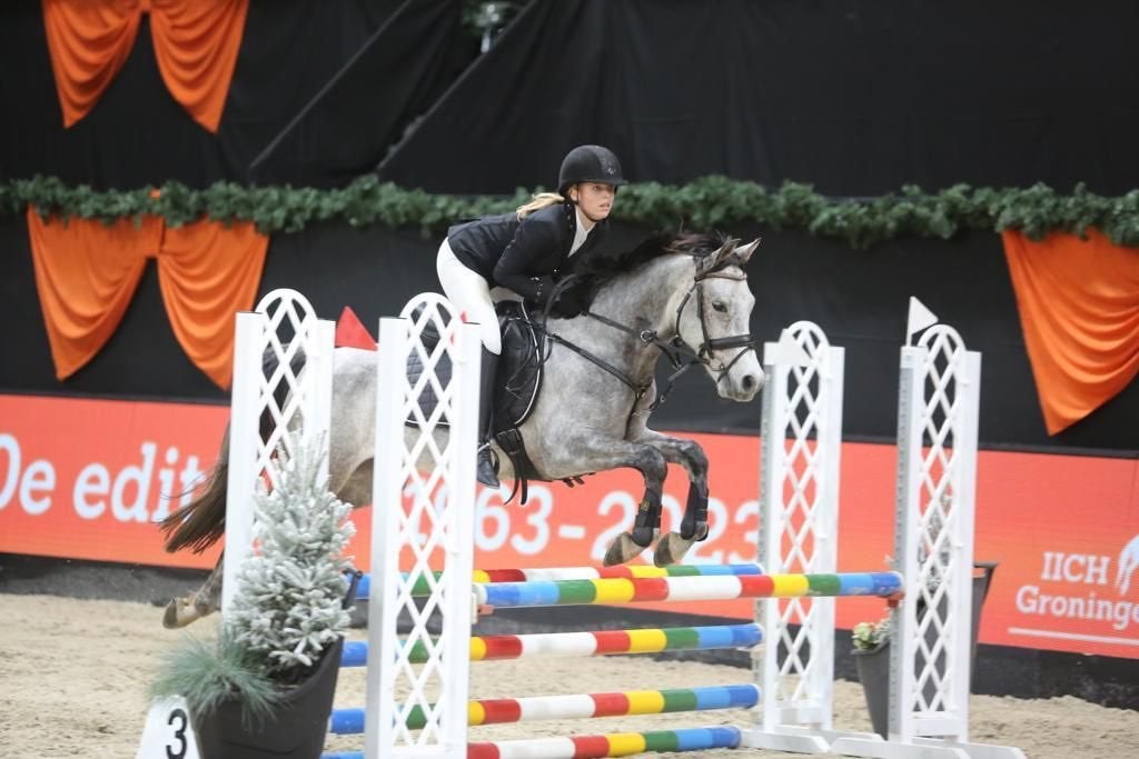 Mooie grote D-springpony te koop: Bandolero, Dieren en Toebehoren, Gechipt, B, Ruin, Springpony