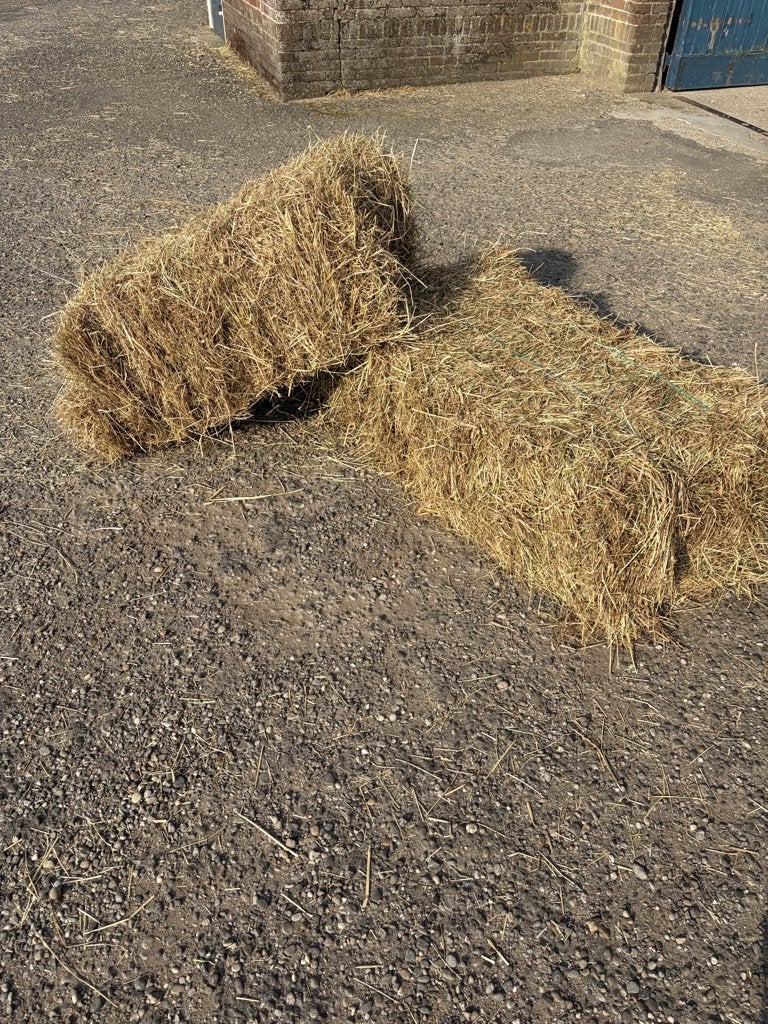 Kleine baaltjes Weide/Paardenhooi, Ophalen of Verzenden, Vee