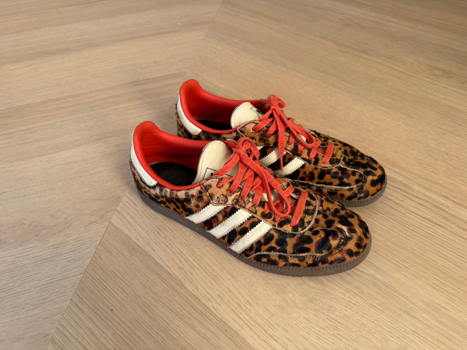 Adidas Samba OG sneaker panter rood, Kleding | Heren, Schoenen, Overige kleuren, Ophalen of Verzenden, Sneakers of Gympen, Gedragen