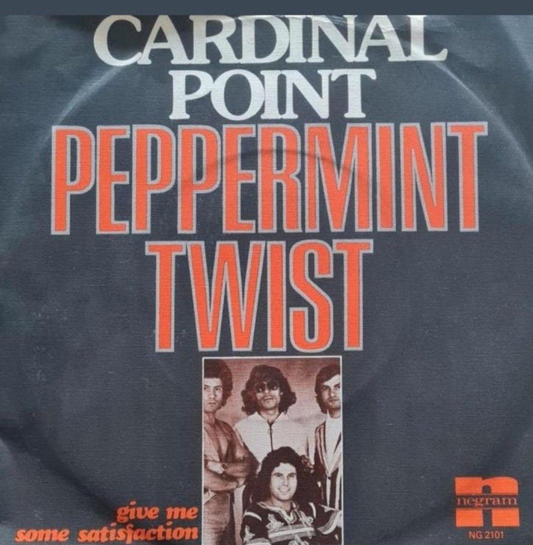 CARDINAL POINT  - PEPPERMINT TWIST, Cd's en Dvd's, Ophalen of Verzenden, Gebruikt