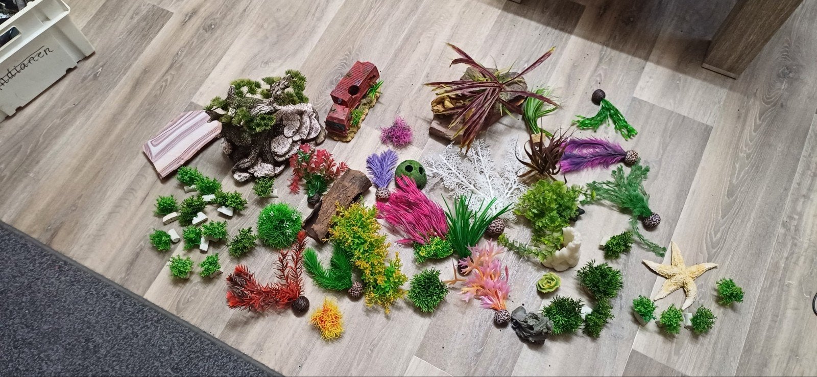 aquarium planten, Ophalen, Gebruikt, Decoratie