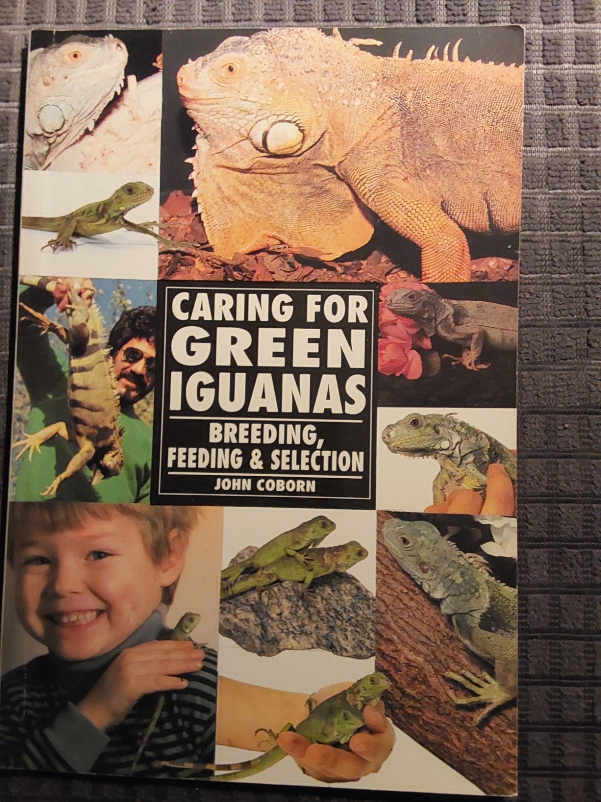 Caring for Green Iguanas - Boek over leguanen, Boeken, Ophalen of Verzenden, Zo goed als nieuw, Reptielen of Amfibieën, John Coborn