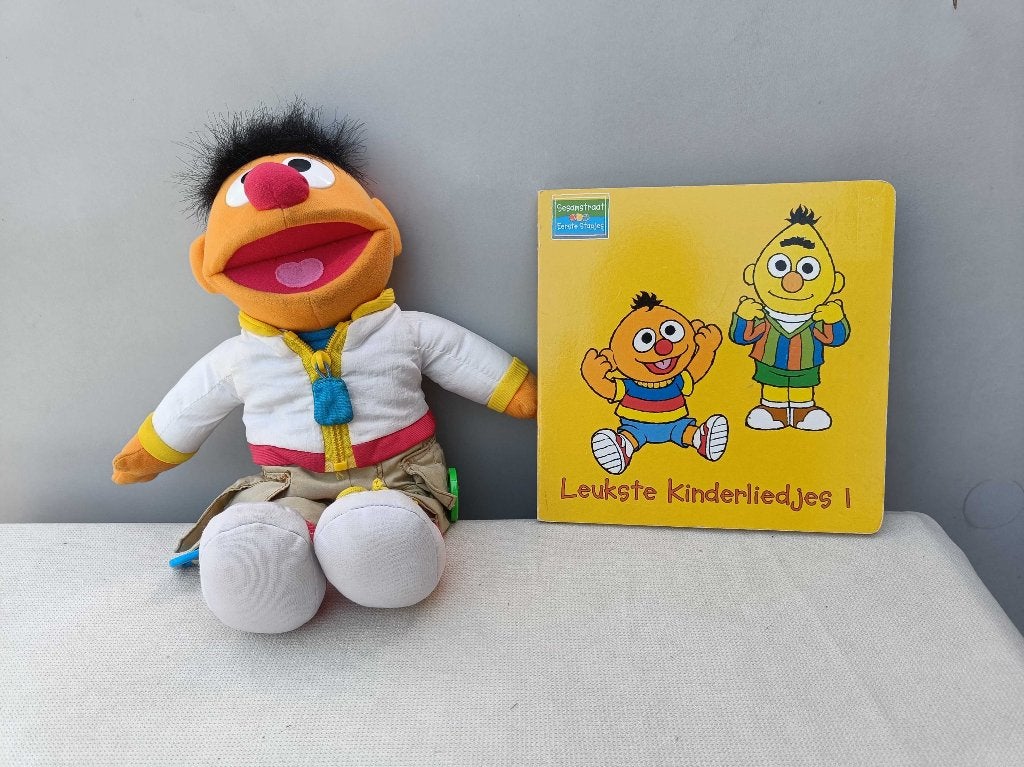 Ernie veters leren strikken-- pratend + liedjesboek, Ophalen of Verzenden, Overige typen