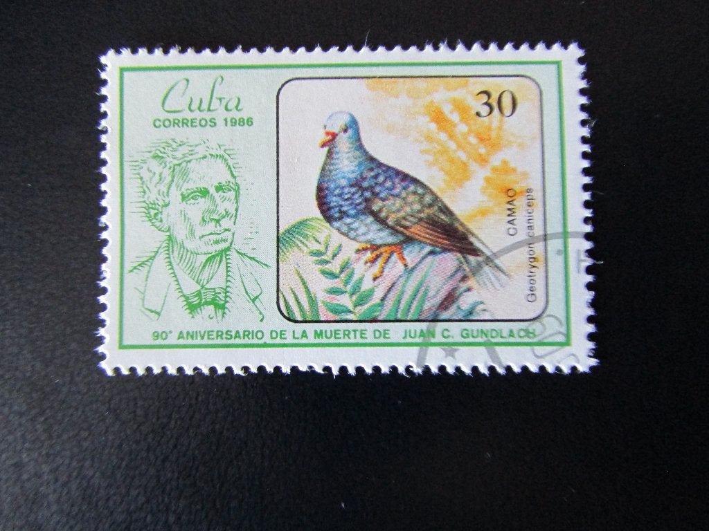 Postzegel Vogel: Grijskop-Kwartelduif uit Cuba, Ophalen of Verzenden, Gestempeld, Dier of Natuur
