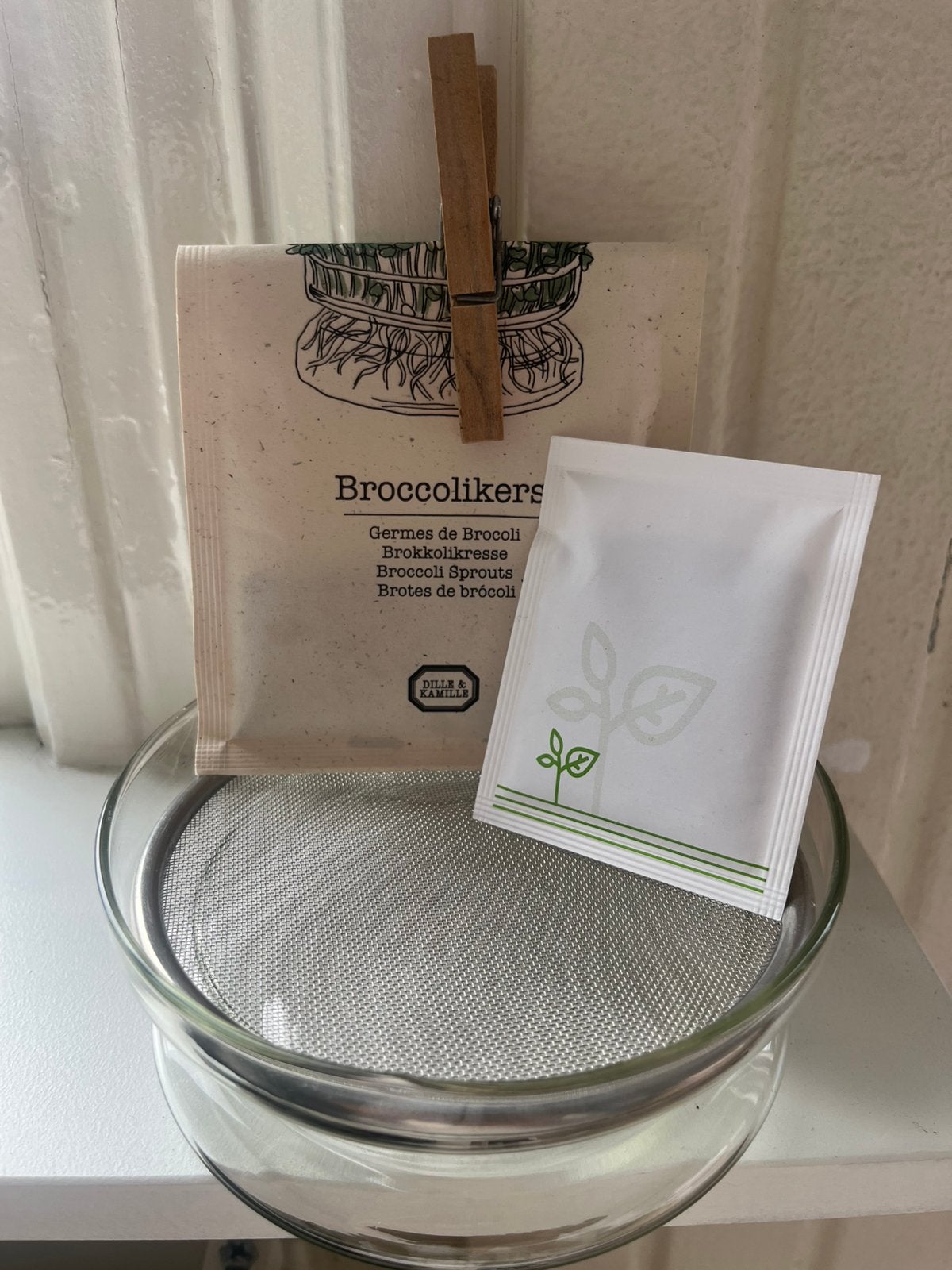 Dille en Kamille kiemschaaltje + zaadjes, Tuin en Terras, Bloembakken en Plantenbakken, Minder dan 30 cm, Rond, Ophalen of Verzenden