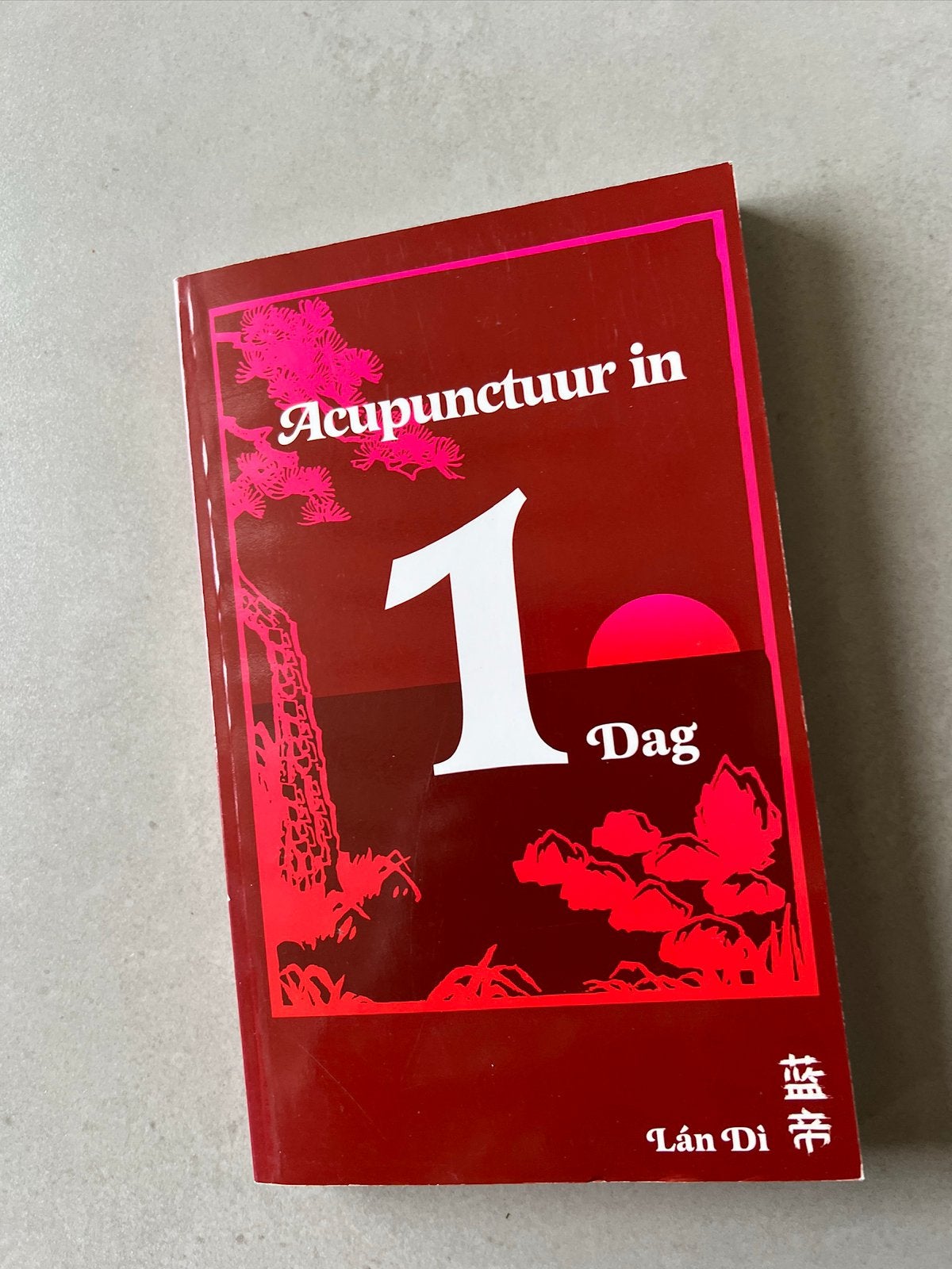 Acupunctuur in 1 dag, Boeken, Ophalen of Verzenden, Alpha, Gelezen, Niet van toepassing