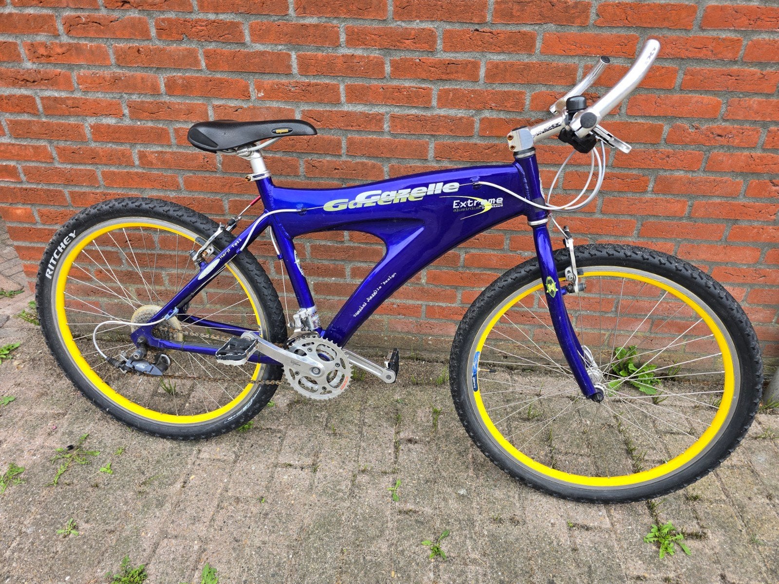 Retro Paarse Gazelle extreme

MAAT 49, Ophalen, Gebruikt, Gazelle